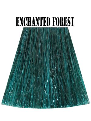 Enchanted Forest